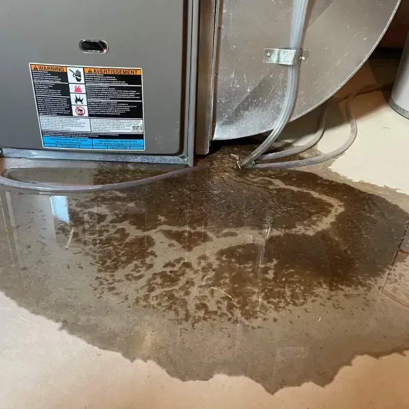 Appliance Leak Cleanup in Burley, WA